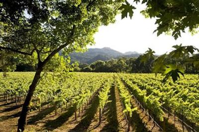 د وستین وراسا ناپا