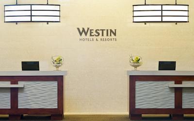 لاز پالمراز بای هیلتون گراند واکیشنز