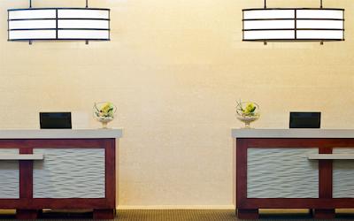 لاز پالمراز بای هیلتون گراند واکیشنز