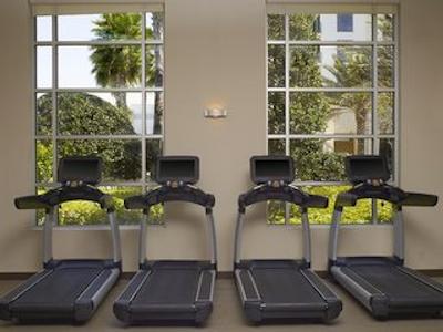 لاز پالمراز بای هیلتون گراند واکیشنز