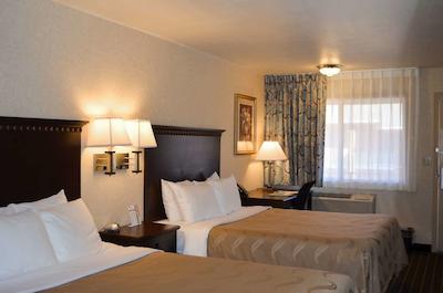 کوالیتی این گونیسُن