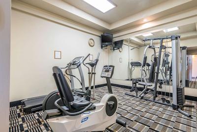 کوالیتی این گونیسُن