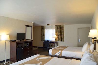 کوالیتی این گونیسُن