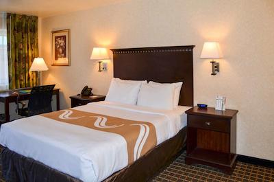 کوالیتی این گونیسُن