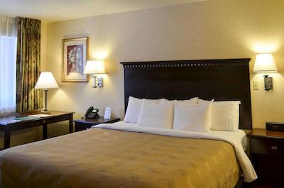 کوالیتی این گونیسُن