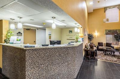 کوالیتی این رلا