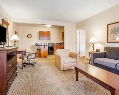 کوالیتی این اند سویتز آیرپرت کنونشن سنتر