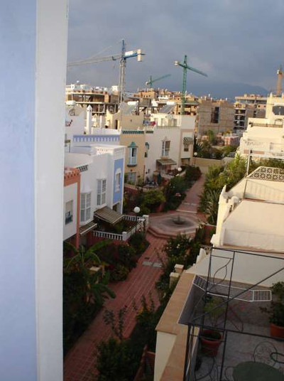 نرجا مدینا