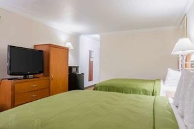 کوالیتی این اند سویتز