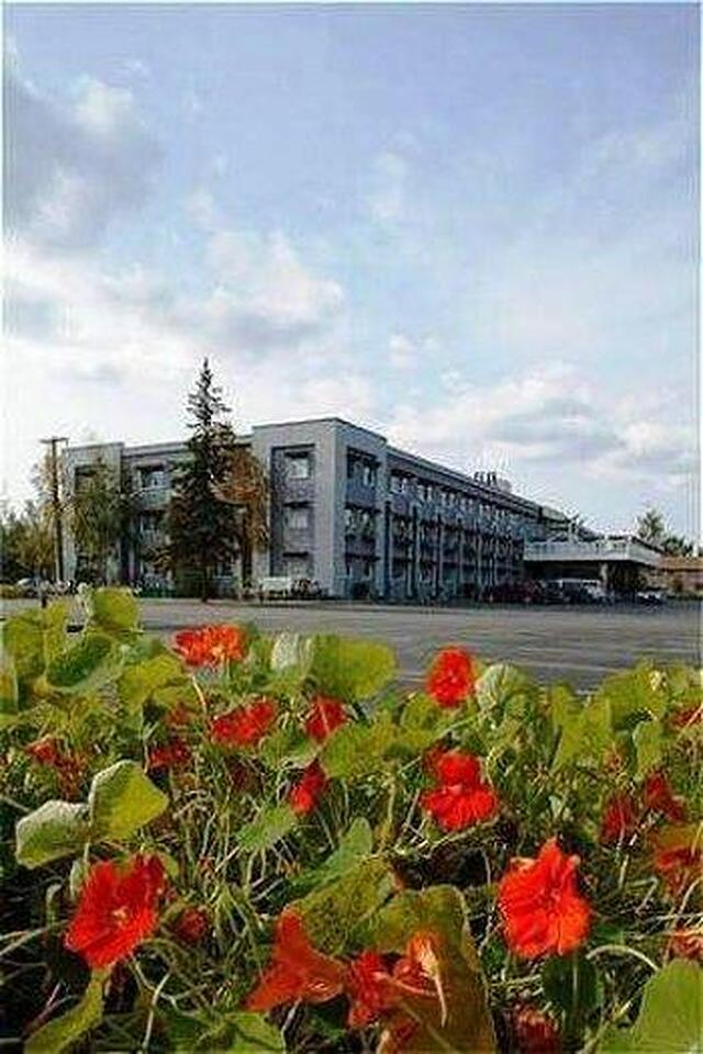 رجنسی فیربانکز