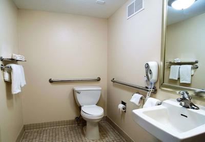 رد روف این وسترن میچیگان ونیورسیتی