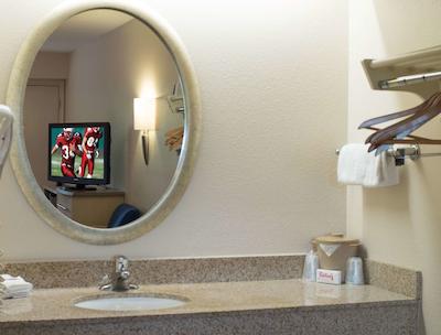 رد روف این وسترن میچیگان ونیورسیتی