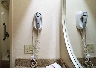 رد روف این وسترن میچیگان ونیورسیتی