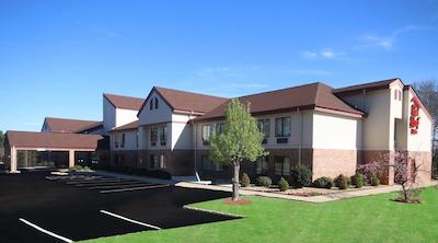 رد روف این گافنی