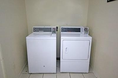 رد روف این گافنی