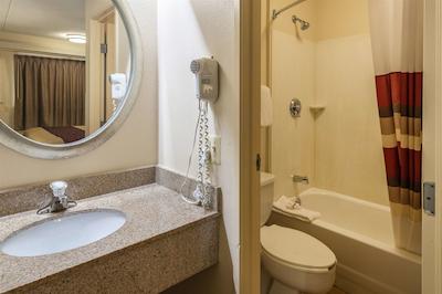 رد روف این دترویت مترو آیرپرت وست