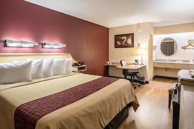 رد روف این دترویت مترو آیرپرت وست