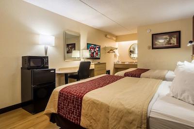 رد روف این دترویت مترو آیرپرت وست