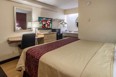 رد روف این دترویت مترو آیرپرت وست