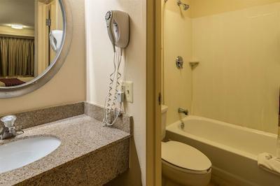 رد روف این دترویت مترو آیرپرت وست