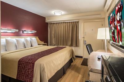 رد روف این دترویت مترو آیرپرت وست