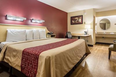 رد روف این دترویت مترو آیرپرت وست