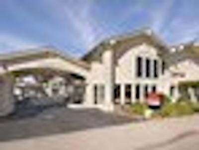 اُلیو تری این