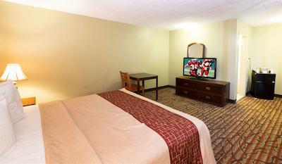 رد روف این بالتیمر نردوست