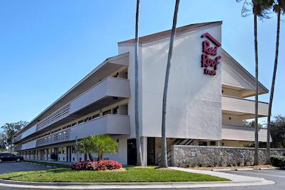 رد روف این تامپا براندن