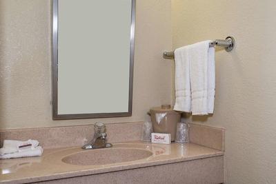 رد روف این تامپا براندن