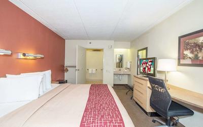 رد روف این تامپا براندن