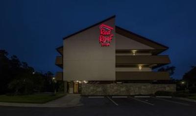 رد روف این تامپا براندن