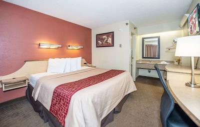 رد روف این تامپا براندن