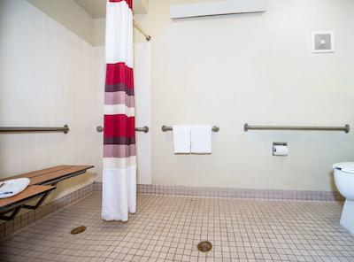 رد روف این تامپا براندن