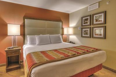 لا کوینتا این اند سویتز پیگئون فرج