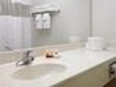 رامادا لیمیتد بیسمارک نردیست