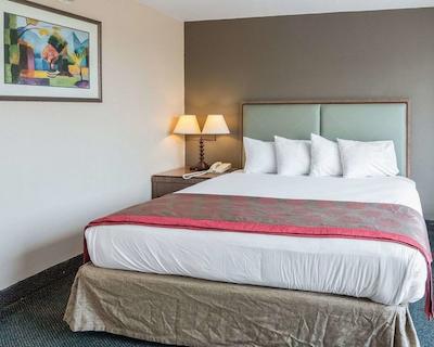 ردو این اند سویتز شروپرت