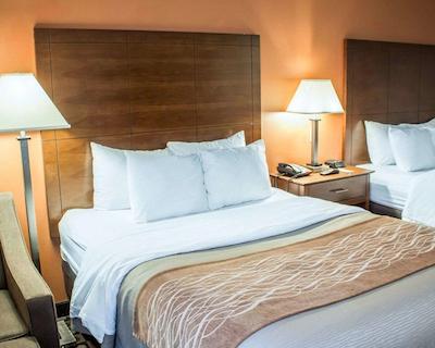 کمفرت این فتویل