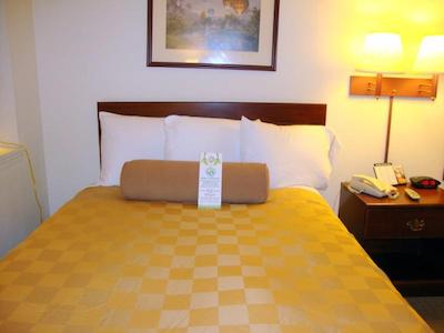 رد روف این اند سویتز بیلاکسی