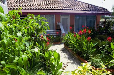 مدیترانین گاردن