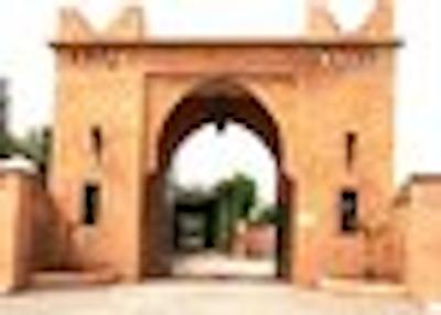 کاسباه دار ایلهام