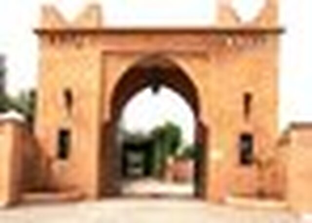 کاسباه دار ایلهام