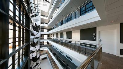 وینکسی مالاگا