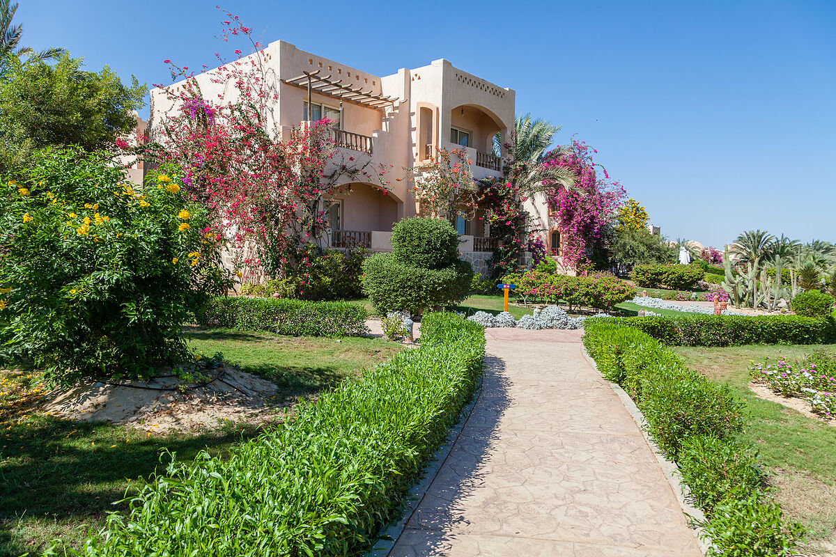 دریم لاگون