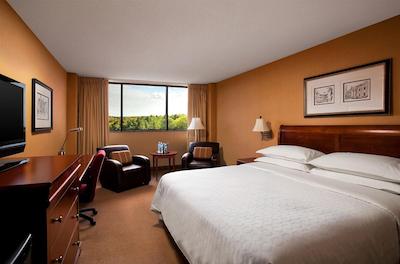 فور پوینتز بای شراتون ریچمند