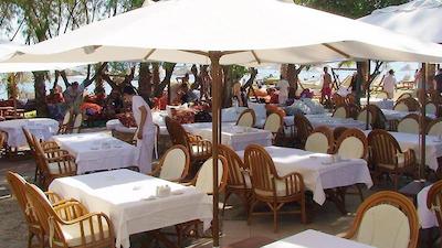 هتل اُکالیپتوز