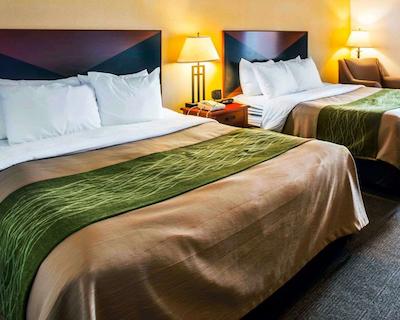 کمفرت این اند سویتز گرینویل