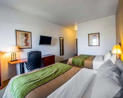 کمفرت این اند سویتز گرینویل