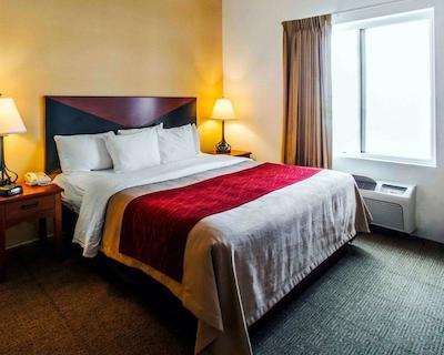 کمفرت این اند سویتز گرینویل