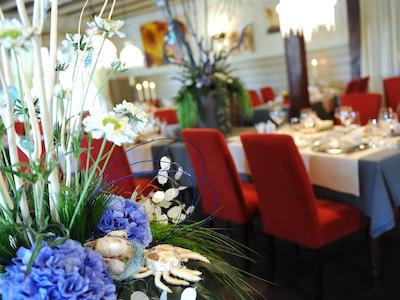 گولدن تولیپ زونبرجن